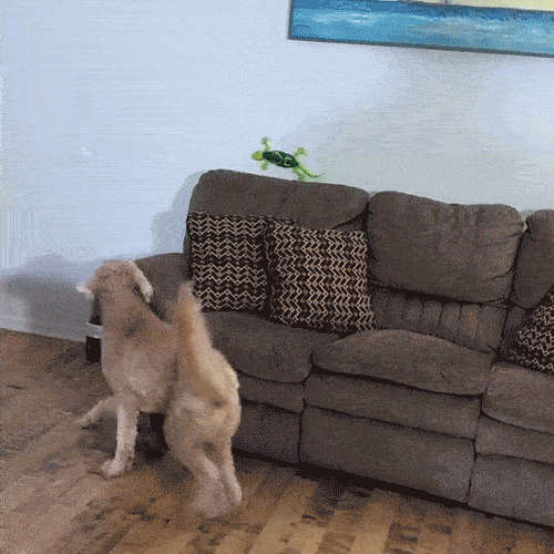 Wall-Climbing Chameleon – LED Eyes & Flexible Movement