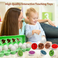 Thumbnail for Toystar EggShapes | Discover, play and learn - Educational puzzle toys for fine motor skills - Ontdek, speel en leer - Edu...