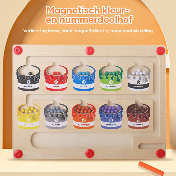 EcoToys | Educational maze adventure with magnets - Magnetic sorting board