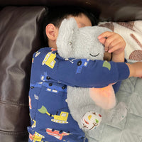 Thumbnail for Toystar KozyKoala | Sleep peacefully - Calming Hug - Bestseller - Rustig slapen - Kalmerende Knuffel (7)