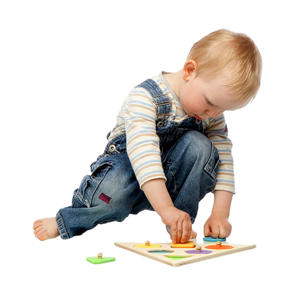 Toystar EcoToys PuzzleLogic | Stimulate your child's creativity - Educational geometry puzzle game - Stimuleer de creativi...