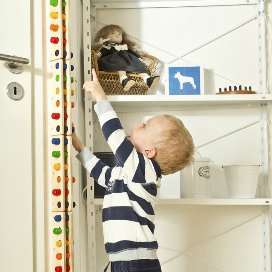 Toystar EcoToys WanderFun | Develop creativity & motor skills - Educational wall game for children - Ontwikkel creativitei...