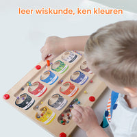 Thumbnail for Toystar EcoToys | Educational maze adventure with magnets - Magnetic sorting board - Leerzaam doolhofavontuur met magneten...