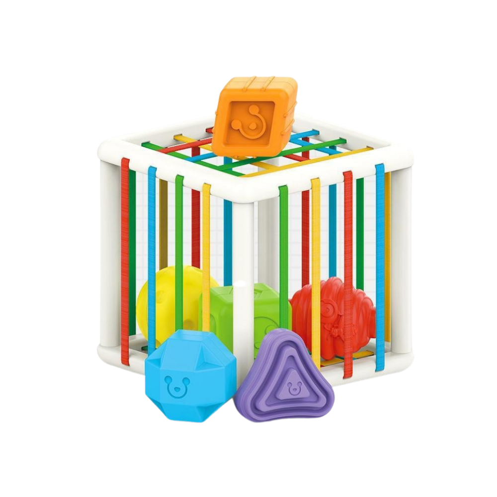 Toystar GeoPlay Cube | Motor Development - Color Recognition Toy - Motorische Ontwikkeling - Kleur Herkenning Speelgoed