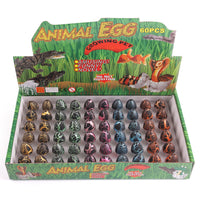Thumbnail for Toystar Water Expansion Dino Eggs| Magic Toys - See Dinosaurs Grow - Magisch Speelgoed - Zie Dinosaurussen Groeien (8)