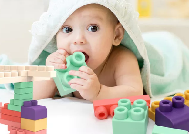 Toystar CreativeBuild | Build Your Dream Animals - 3D Puzzle Toys for Kids! - Bouw je Droomdieren - 3D Puzzel Speelgoed vo...