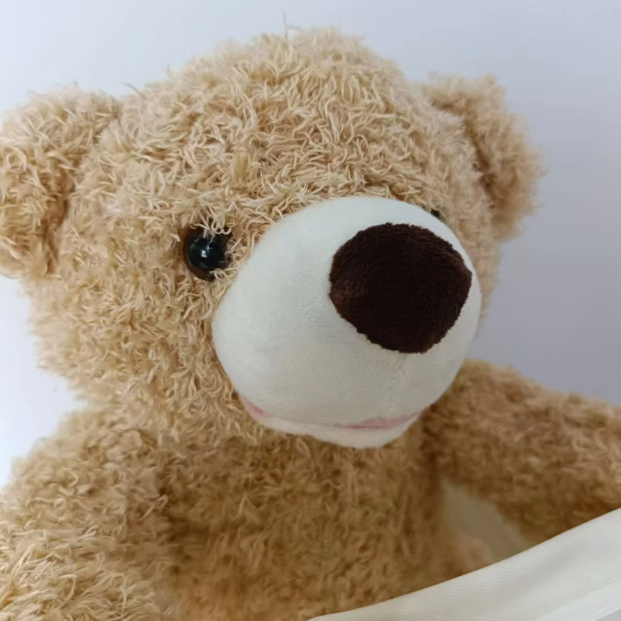 Toystar PeekABear | Magical fun for every child - Interactive teddy bear - Magisch plezier voor elk kind - Interactieve kn...