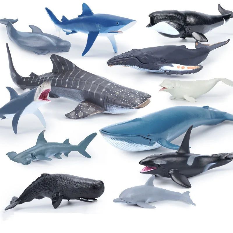 Toystar Oceanimals | Learning & Decorating – Realistic Sea Life Toys for Children - Leren & Decoreren – Realistisch Zeelev...