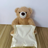 Thumbnail for Toystar PeekABear | Magical fun for every child - Interactive teddy bear - Magisch plezier voor elk kind - Interactieve kn...