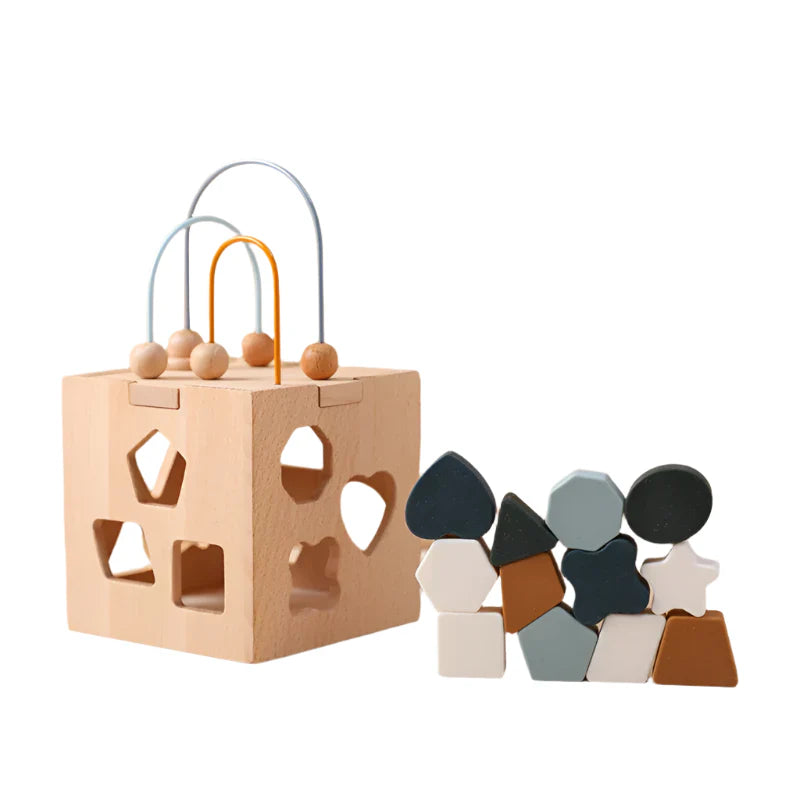 Toystar GeoPlay | Shape recognition and fun - Wooden and silicone sorting block with geometric shapes - Vormherkenning en ...