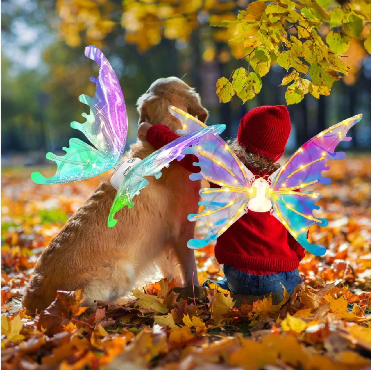 FairyWings | Bring the magical fairytale world to life - Imaginative play fun
