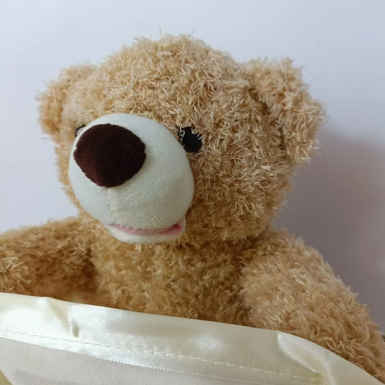 Toystar PeekABear | Magical fun for every child - Interactive teddy bear - Magisch plezier voor elk kind - Interactieve kn...
