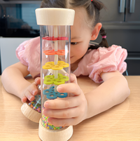 Thumbnail for Toystar Ecotoys RainTune | Soothing rain music toy - Montessori Wooden Rain Rattle! - Rustgevend regenmuziek speelgoed - M...