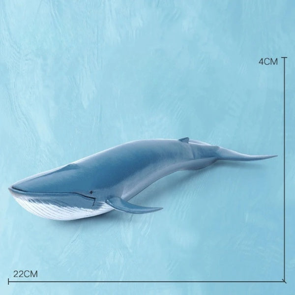 Toystar Oceanimals | Learning & Decorating – Realistic Sea Life Toys for Children - Leren & Decoreren – Realistisch Zeelev...