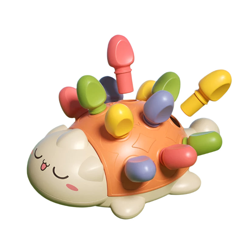 Toystar ShellWave | Develop Creativity - Educational Game for Kids - Ontwikkel Creativiteit - Educatief Spel voor Kinderen