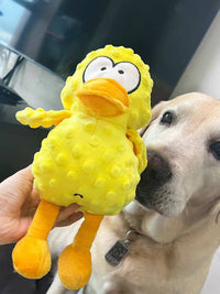 Thumbnail for Toystar PawBuddy | The ultimate cuddle and chew toy - Interactive dog toy - Het ultieme knuffel- en kauwspeeltje - Interac...